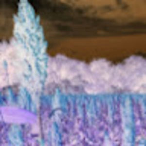 Meet your Posher, Rusty